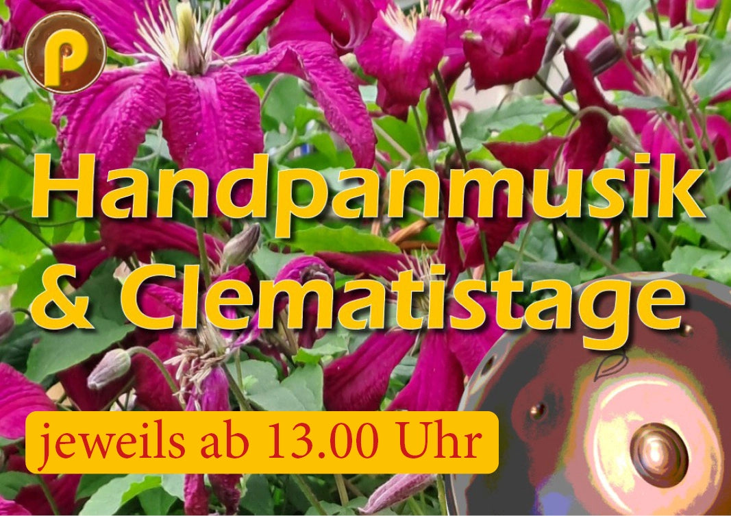 Handpanmusik an den Clematistagen